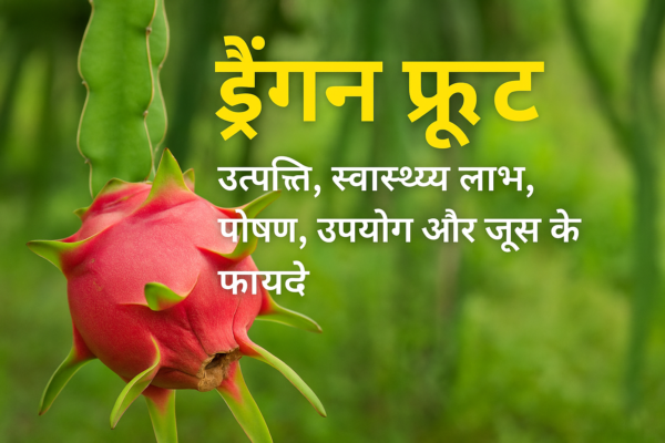 ड्रैगन फ्रूट