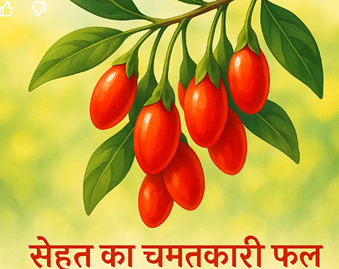 गोजी बेरी