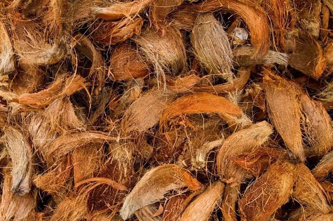 नारियल का छिलका नारियल का छिलका