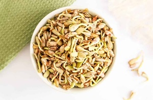 सलाद मे