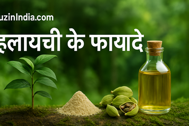 इलायची पाउडर और तेल 