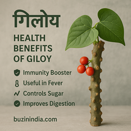 गिलोय के लाभ