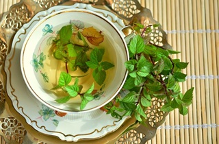 पुदीना
