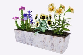 Planters 