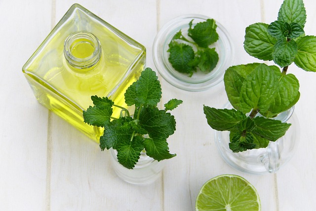 boosting immunity