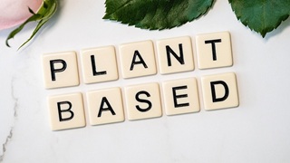 foods from plants foods from plants