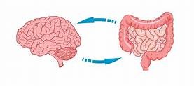 Gut Microbiome