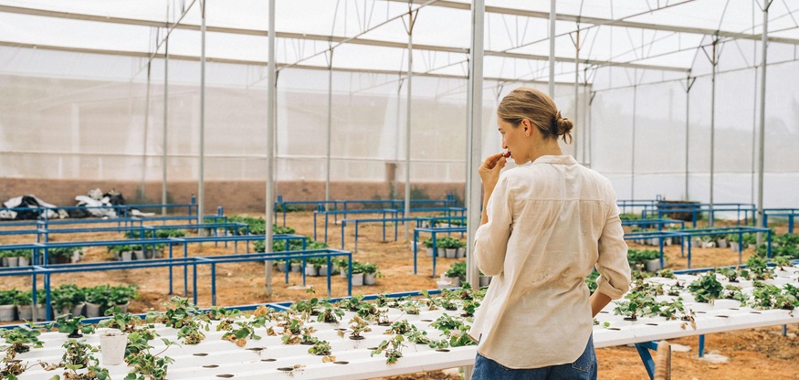 Impact on Rural India Impact on Rural India