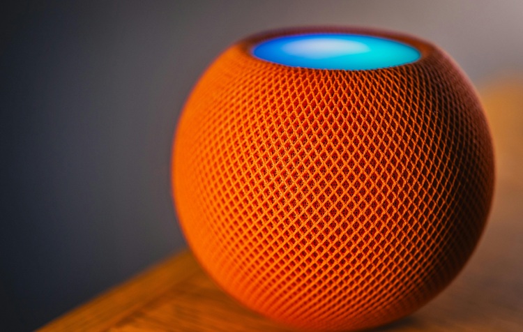 Smart Speakers
