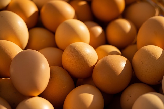 protein-rich diet protein-rich diet