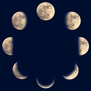 Moon Sign